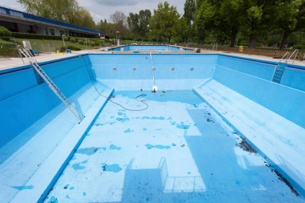 Best Carpet water damage restoration  in Hewlett, NY