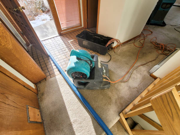 Best Professional water damage repair  in Hewlett, NY