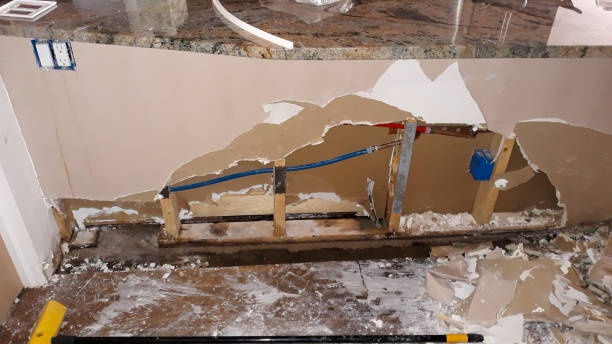 Best Flood damage cleanup  in Hewlett, NY