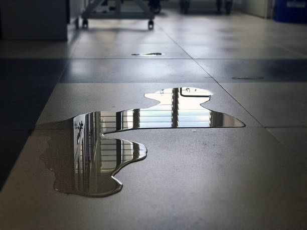 Best Water damage restoration services  in Hewlett, NY