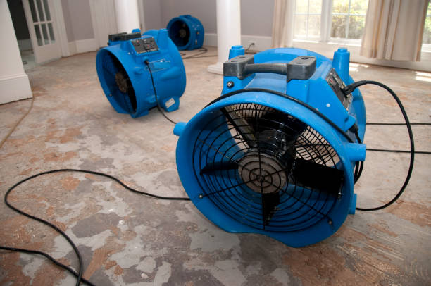 Best Ceiling water damage repair  in Hewlett, NY