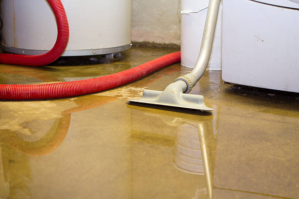 Best Sewage cleanup and water damage restoration  in Hewlett, NY