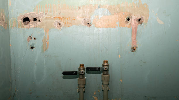 Best 24-hour water damage restoration  in Hewlett, NY