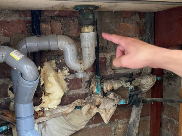 Best Sewage cleanup and water damage restoration  in Hewlett, NY